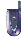 Best available price of Motorola V66i in Philippines